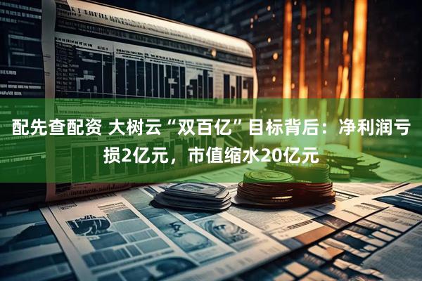 配先查配资 大树云“双百亿”目标背后：净利润亏损2亿元，市值缩水20亿元
