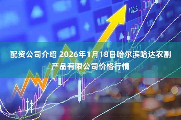 配资公司介绍 2026年1月18日哈尔滨哈达农副产品有限公司价格行情