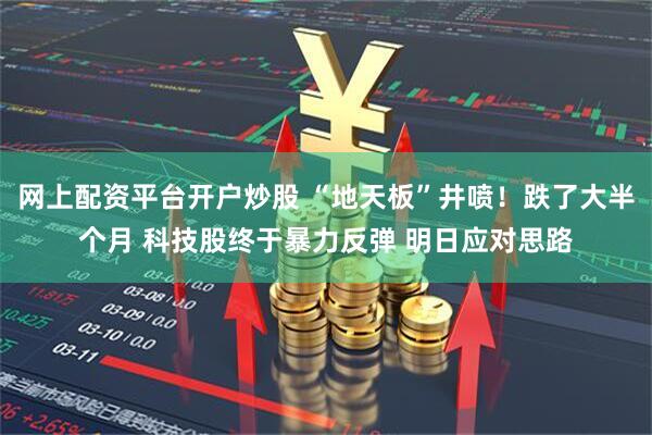网上配资平台开户炒股 “地天板”井喷！跌了大半个月 科技股终于暴力反弹 明日应对思路